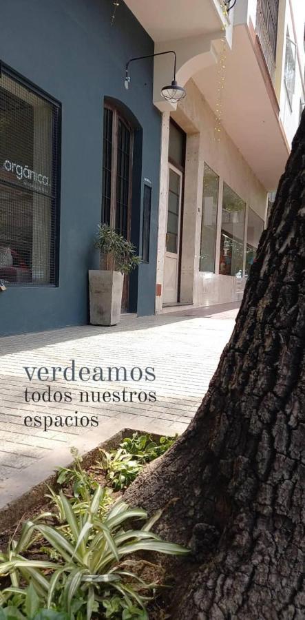 Apartmán Alojate Mendoza - Departamento "Josefa" Terraza Y Parrilla Exteriér fotografie