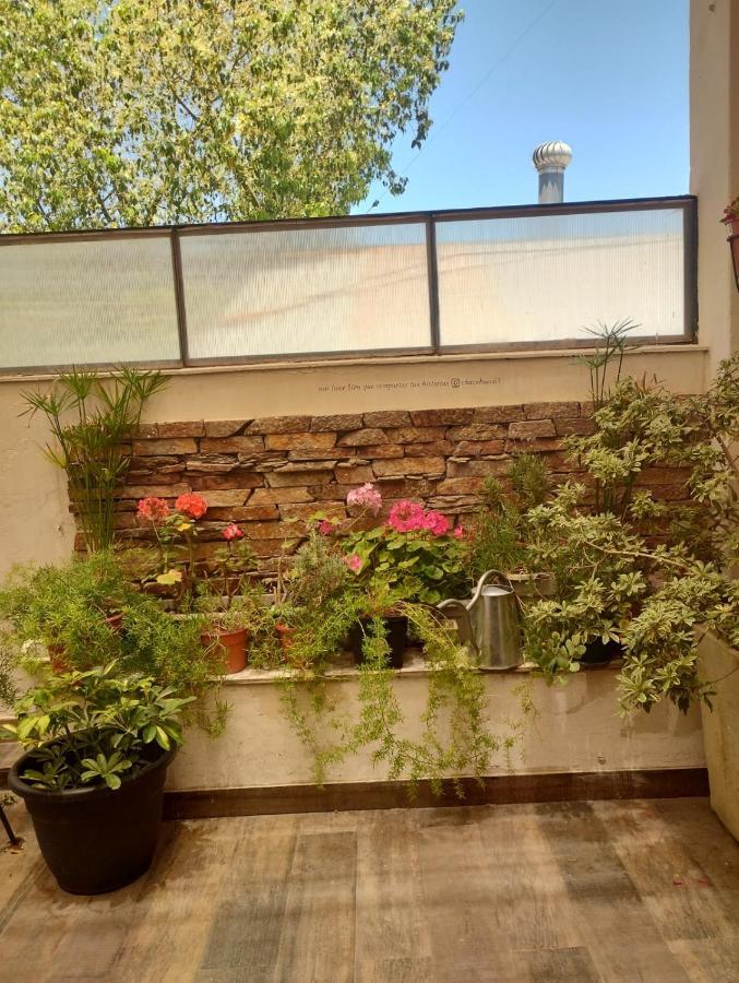 Apartmán Alojate Mendoza - Departamento "Josefa" Terraza Y Parrilla Exteriér fotografie
