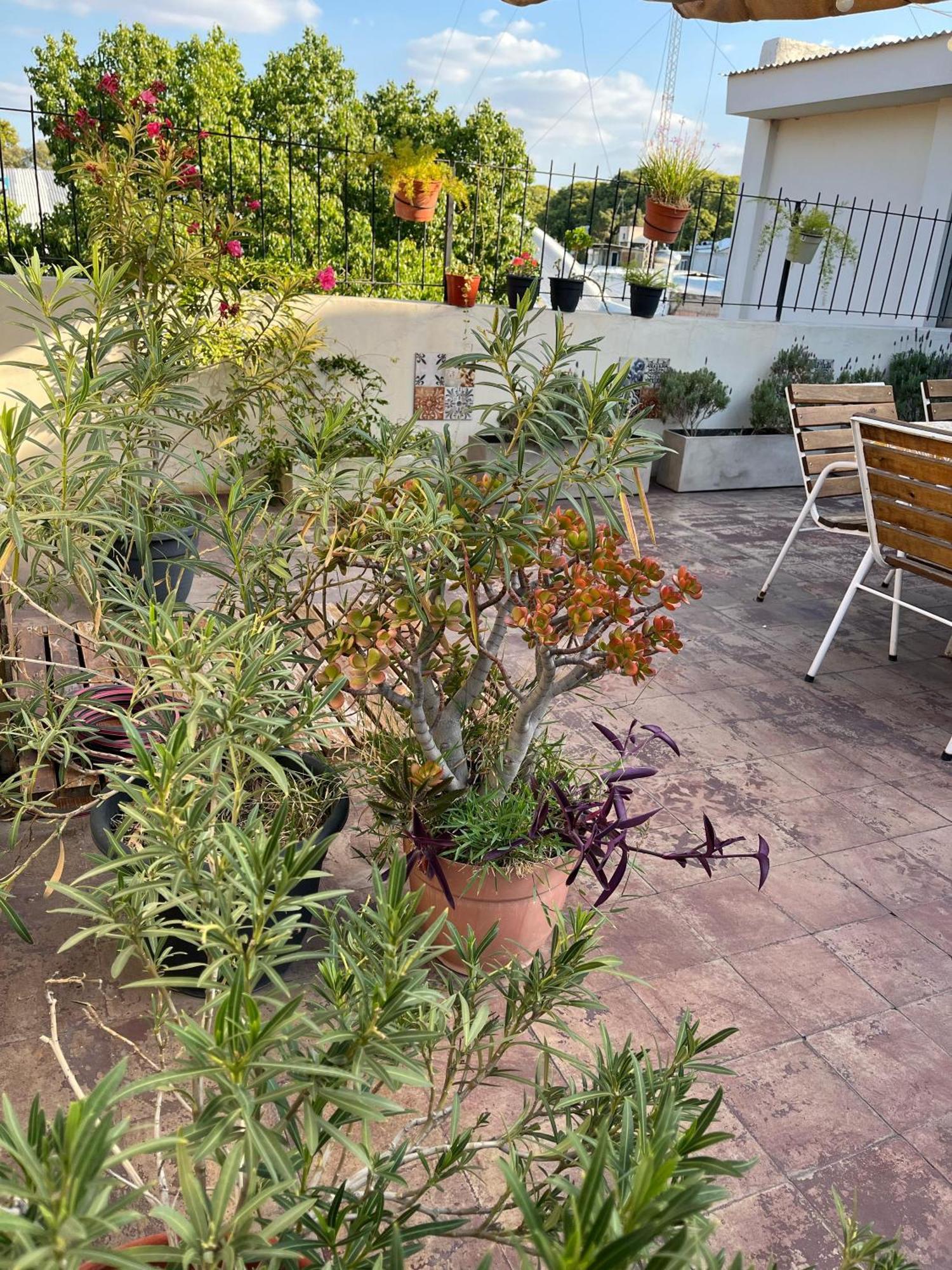 Apartmán Alojate Mendoza - Departamento "Josefa" Terraza Y Parrilla Exteriér fotografie